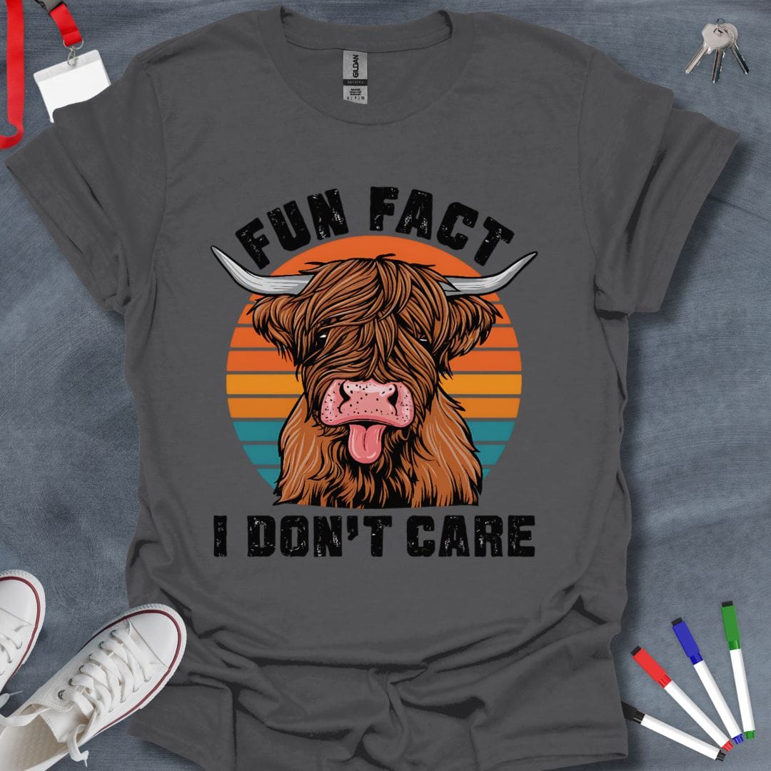 Teacher T-Shirt Charcoal / S Fun Fact I Don't Care T-Shirt