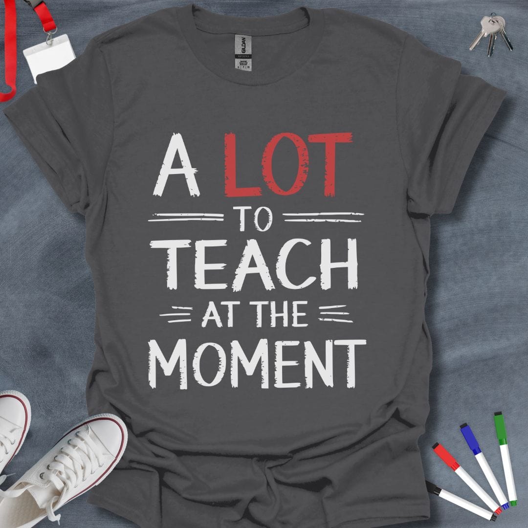 Teacher T-Shirt Charcoal / S A Lot to Teach T-Shirt